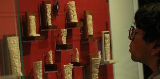 Una gran exposición de Roberto Ruiz muestra un México a escala milimétrica Una persona observa una pieza tallada en hueso, durante un recorrido a la prensa de la exposición ‘Roberto Ruiz. Gigante de la miniatura’ en el Museo del Estanquillo de Ciudad de México (México). EFE/ Mario Guzmán