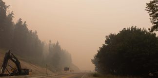 La calidad del aire de Toronto se desploma por el humo de más de 700 incendios en Canadá Imagen de archivo. EFE/EPA/JACKIE DIVES