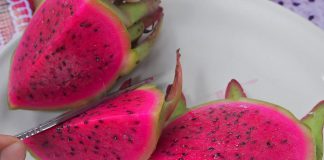 Productores del sur de México apuestan por el cultivo de la pitahaya para arraigar a la juventud Una persona corta una pitahaya este viernes, en el municipio de San Francisco Telixtlahuaca (México). EFE/Jesús Méndez