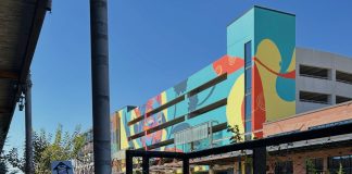 Elecciones en Mecklenburg: Candidatos y el referéndum