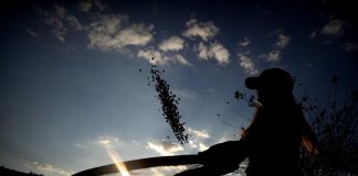 Brasil quiere liderar mercado global de bioinsumos con experiencia tropical y tecnología Fotografía de archivo del 23 de julio de 2018 de un agricultor en la Hacienda Recanto Machado en el estado brasileño de Minas Gerais (Brasil). EFE/ Fernando Bizerra ARCHIVO