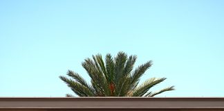 Un grupo de empleados piden que Paramount se sume al boicot del cine contra Israel Imagen de archivo. EFE/EPA/ALLISON DINNER