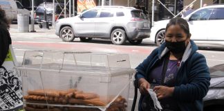 Vendedores ambulantes y repartidores se unen para pedir más protección en Nueva York Fotografía de archivo deuna vendedora ambulante en Nueva York (Estados Unidos). EFE/ Ruth E. Hernández