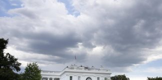 Gobierno de Trump destituye a comisionados que evaluaban construcciones en la Casa Blanca Archivo. EFE/MICHAEL REYNOLDS3