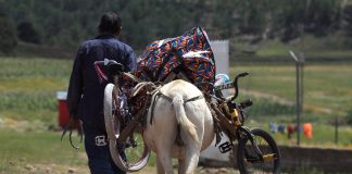 ONG urge incrementar 16 % el salario mínimo en México en 2026 para combatir la pobreza Una persona transporta en un burro obsequios, alimentos y materiales educativos para llevarlos a indígenas rarámuris. Imagen de archivo. EFE/Luis Torres