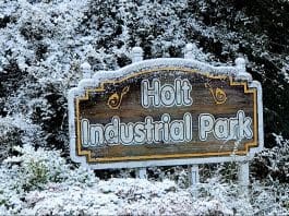 Florida vuelve a sorprender con nieve por segundo año consecutivo