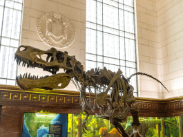 Entrada gratis en el Museo de Ciencias de Texas