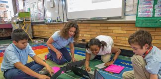 CMS lanza nueva plataforma digital