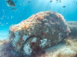 Una autopista bajo el mar: Miami Beach sumerge decenas de ‘vehículos’ para atraer fauna Fotografía cedida por Reefline que muestra uno de los coches de hormigón que forma parte de una especie de autopista marina que se encuentra a poco más de seis metros de profundidad, en las aguas de Miami Beach (Estados Unidos). EFE/Nola Schoder/Reefline /SOLO USO EDITORIAL /NO VENTAS /SOLO DISPONIBLE PARA ILUSTRAR LA NOTICIA QUE ACOMPAÑA /CRÉDITO OBLIGATORIO