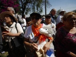 Animalistas celebran la recuperación de su refugio en Ciudad de México tras orden judicial Activistas manifiestan su apoyo afuera del Refugio Franciscano, este viernes en Ciudad de México (México). EFE/ Sáshenka Gutiérrez