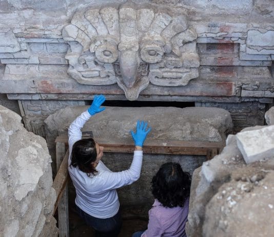 México anuncia el hallazgo de una milenaria tumba zapoteca del año 600 en el sur del país Fotografía cedida este viernes por la Secretaria de Cultura donde se observa a arqueólogos trabajando durante la localización de una tumba zapoteca en el estado de Oaxaca (México). EFE/ Luis Gerardo Pena Torres/ Secretaria de Cultura/ SOLO USO EDITORIAL/NO VENTAS/SOLO DISPONIBLE PARA ILUSTRAR LA NOTICIA QUE ACOMPAÑA(CRÉDITO OBLIGATORIO)