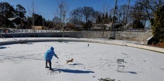 El sur de EE.UU. se prepara para una tormeta de nieve que pone en alerta a las autoridades Imagen de archivo. EFE/EPA/ERIK S. LESSER