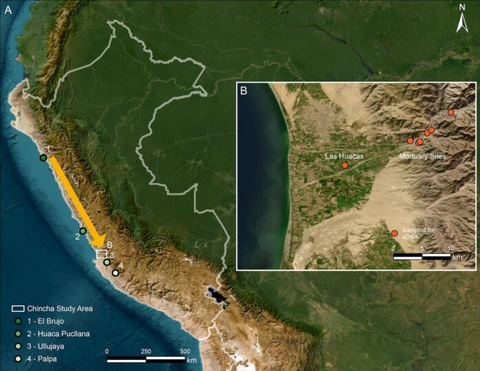 Mapa del área de estudio. A. Ubicación del Valle de Chincha y de otros sitios andinos referenciados en este estudio que proporcionaron datos de ADN antiguo. B. Los sitios arqueológicos bajo investigación en este estudio.  Crédito Los mapas base para los paneles A y B se obtuvieron del conjunto de datos World Imagery y se crearon con ArcGIS Pro v3.6.2. Fuentes: ESRI, Michael Bauer Research GmbH 2022, Instituto Nacional de Estadística e Informática (INEI), Earthstar Geographics, Vantor.
