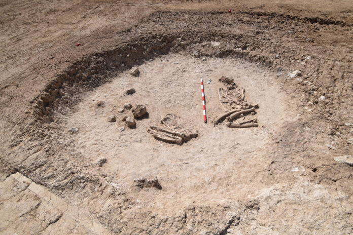 Tumba doble en proceso de excavación. Investigadores de varias universidades españolas, lideradas por la Universidad de Alcalá (UAH), han publicado un estudio que revela que el yacimiento de Valdelasilla, situado en Illescas (Toledo), alberga la necrópolis monumental más antigua conocida en el interior de la península ibérica, de finales del quinto milenio a.C., es decir, de hace más de 6.000 años.SOLO USO EDITORIAL/SOLO DISPONIBLE PARA ILUSTRAR LA NOTICIA QUE ACOMPAÑA (CRÉDITO OBLIGATORIO)
