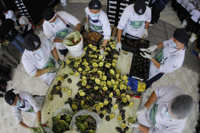 Productores de aguacate y chefs mexicanos, participan en la elaboración del 'guacamole' más grande del mundo realizado este jueves, en el estadio Panamericano de Zapopan en Guadalajara (México). EFE/ Francisco Guasco
